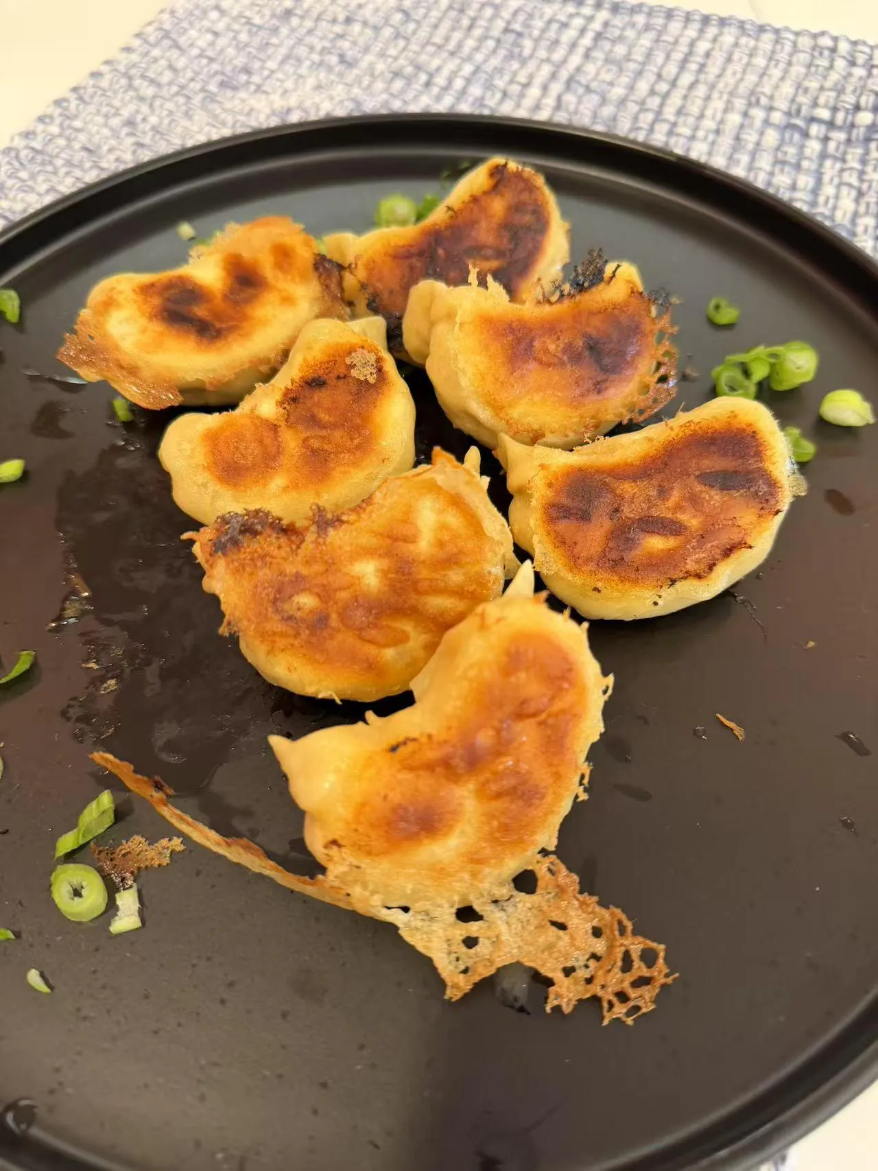 Pan-fried pork dumplings with crispy lace crust at Dumpling Station, a Chinese Restaurant in Delaware